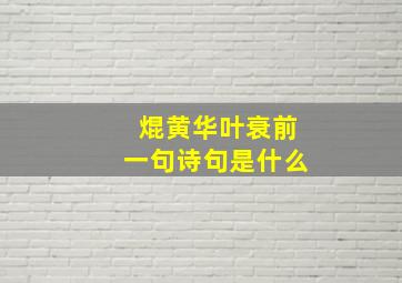 焜黄华叶衰前一句诗句是什么