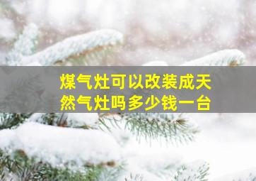 煤气灶可以改装成天然气灶吗多少钱一台