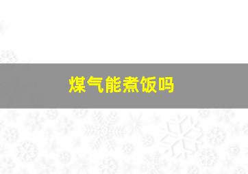 煤气能煮饭吗