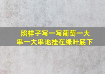 照样子写一写葡萄一大串一大串地挂在绿叶底下