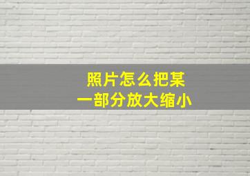 照片怎么把某一部分放大缩小