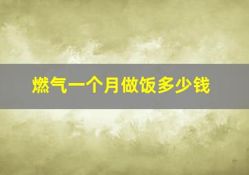 燃气一个月做饭多少钱