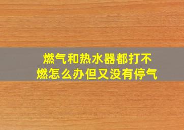 燃气和热水器都打不燃怎么办但又没有停气