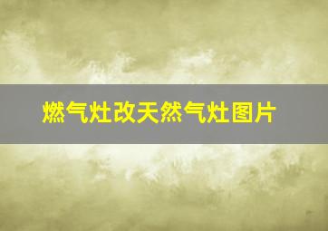 燃气灶改天然气灶图片