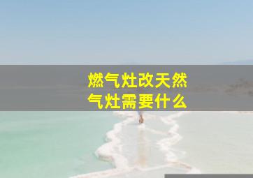 燃气灶改天然气灶需要什么