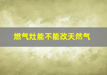 燃气灶能不能改天然气