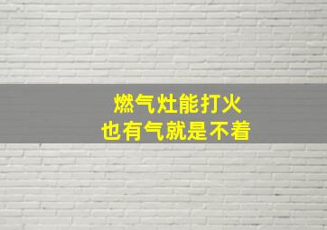 燃气灶能打火也有气就是不着