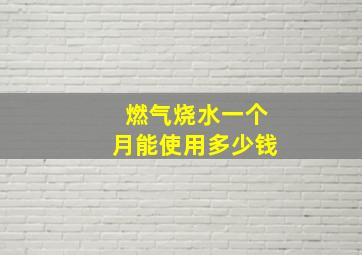 燃气烧水一个月能使用多少钱