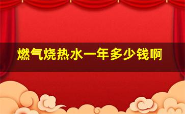 燃气烧热水一年多少钱啊