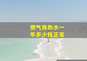 燃气烧热水一年多少钱正常