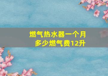 燃气热水器一个月多少燃气费12升