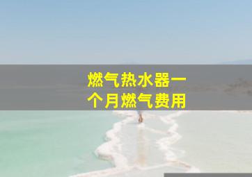 燃气热水器一个月燃气费用