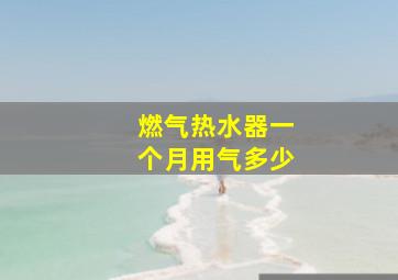 燃气热水器一个月用气多少