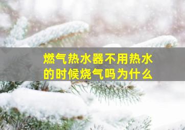 燃气热水器不用热水的时候烧气吗为什么