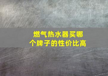 燃气热水器买哪个牌子的性价比高