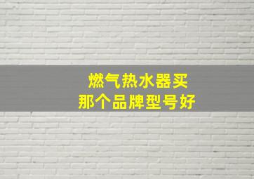 燃气热水器买那个品牌型号好