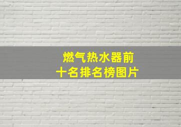 燃气热水器前十名排名榜图片