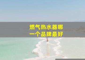 燃气热水器哪一个品牌最好