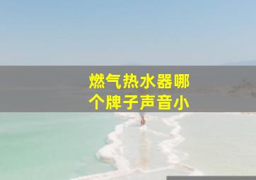 燃气热水器哪个牌子声音小