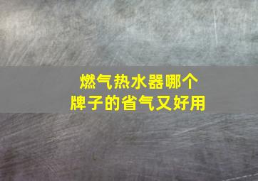 燃气热水器哪个牌子的省气又好用