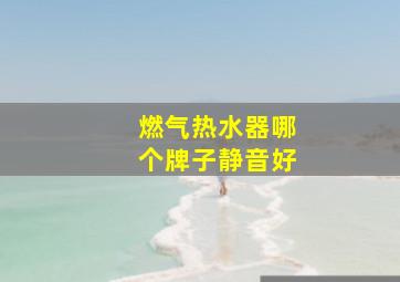 燃气热水器哪个牌子静音好