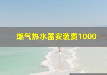 燃气热水器安装费1000