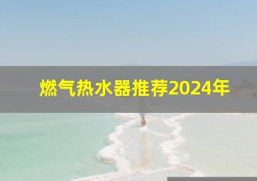 燃气热水器推荐2024年