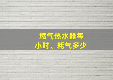 燃气热水器每小时、耗气多少