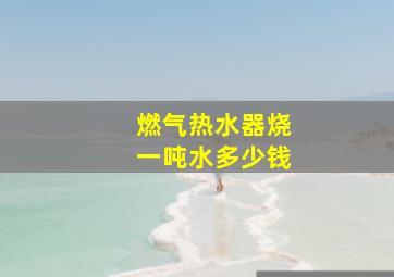 燃气热水器烧一吨水多少钱