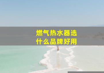 燃气热水器选什么品牌好用