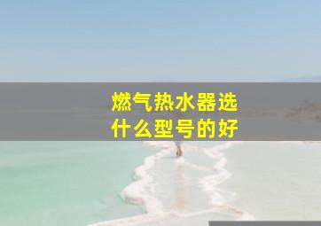 燃气热水器选什么型号的好