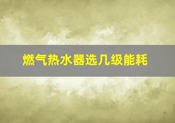 燃气热水器选几级能耗