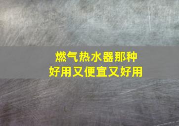 燃气热水器那种好用又便宜又好用