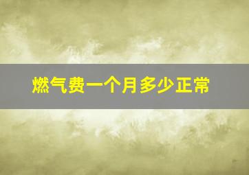 燃气费一个月多少正常