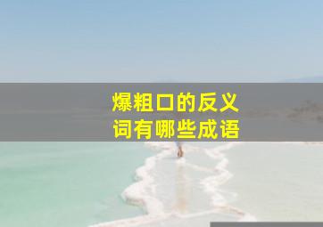 爆粗口的反义词有哪些成语