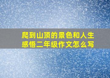 爬到山顶的景色和人生感悟二年级作文怎么写