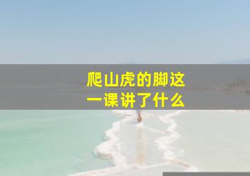 爬山虎的脚这一课讲了什么