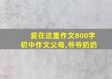 爱在这里作文800字初中作文父母,爷爷奶奶