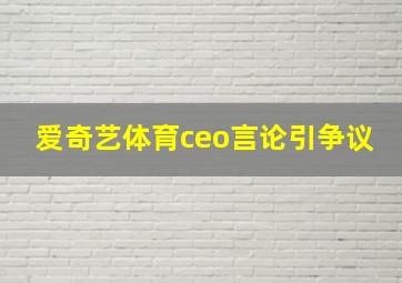 爱奇艺体育ceo言论引争议