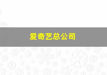 爱奇艺总公司