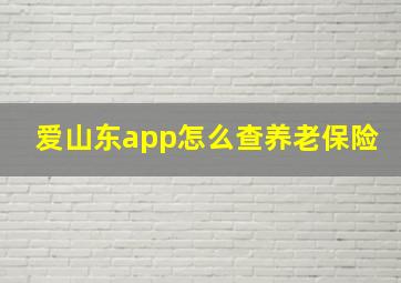 爱山东app怎么查养老保险