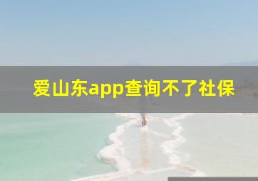 爱山东app查询不了社保