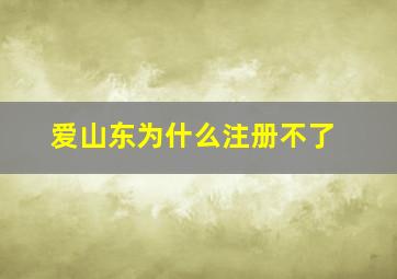 爱山东为什么注册不了