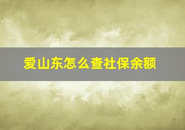 爱山东怎么查社保余额