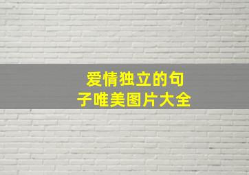 爱情独立的句子唯美图片大全