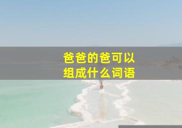 爸爸的爸可以组成什么词语