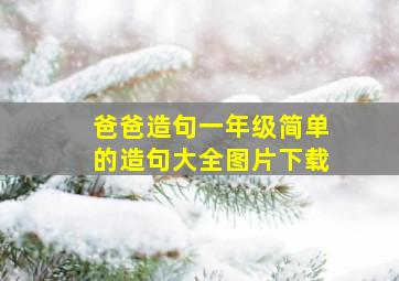 爸爸造句一年级简单的造句大全图片下载