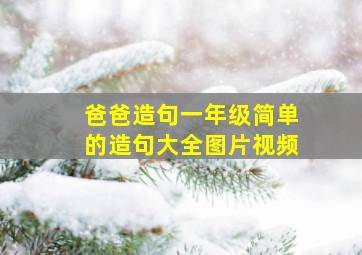 爸爸造句一年级简单的造句大全图片视频