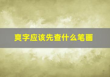 爽字应该先查什么笔画