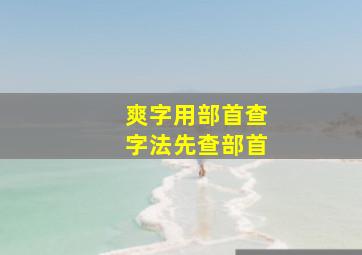 爽字用部首查字法先查部首